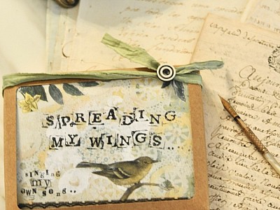 Spreading my wings notecard boxed set
